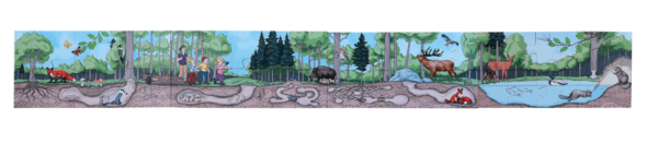 Bodenpuzzle „Entdecke den Wald“ – Bild 3