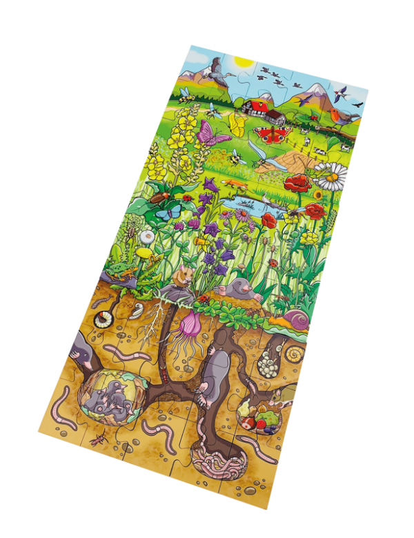 Bodenpuzzle „Entdecke die Blumenwiese“ (Video) – Bild 5