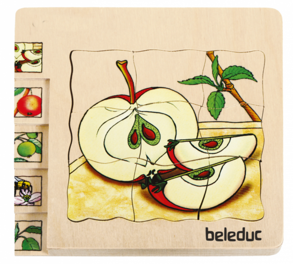 Lagen-Puzzle „Apfel“ – Bild 2