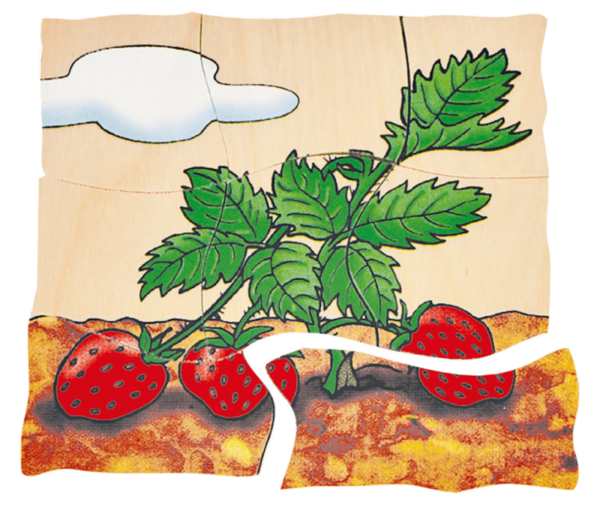 Lagen-Puzzle „Erdbeere“ – Bild 3