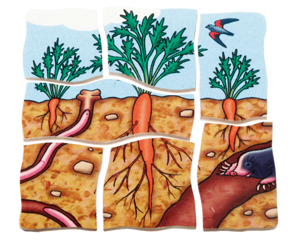 Lagen-Puzzle „Karotte“ – Bild 3