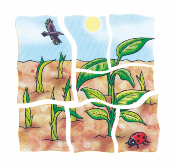 Lagen-Puzzle „Banane“ – Bild 3