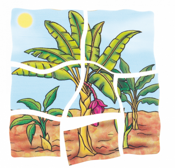 Lagen-Puzzle „Banane“ – Bild 4