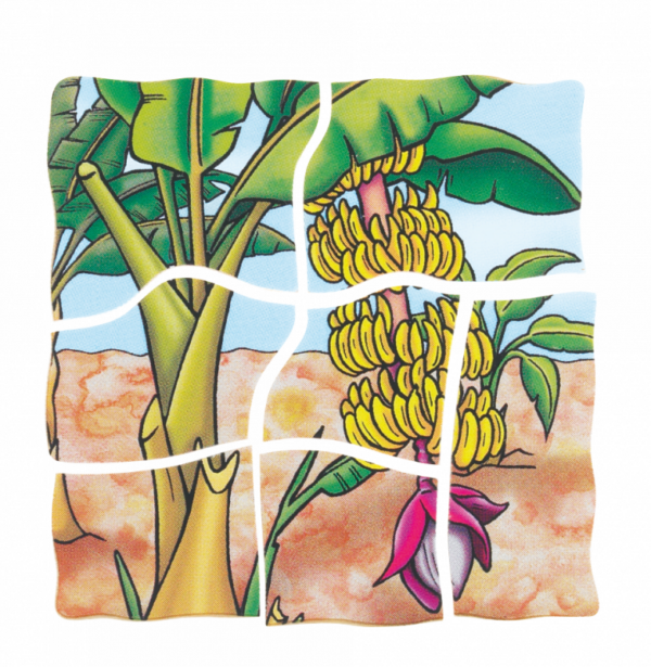 Lagen-Puzzle „Banane“ – Bild 5