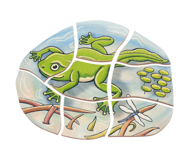 Lagen-Puzzle „Frosch“ – Bild 3