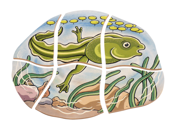 Lagen-Puzzle „Frosch“ – Bild 4