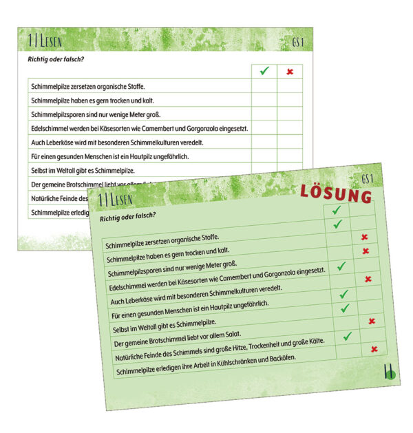 2 Smartbook Mini: Susi Schimmel Grundstufe 1 + 2 inkl. Buch – Bild 2
