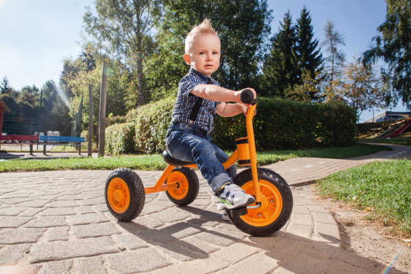 Kleines Dreirad – Bild 3