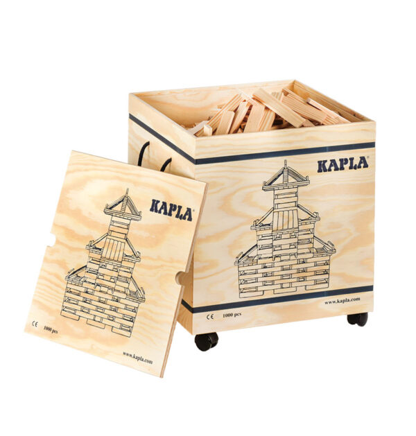 1000 Kapla Bausteine