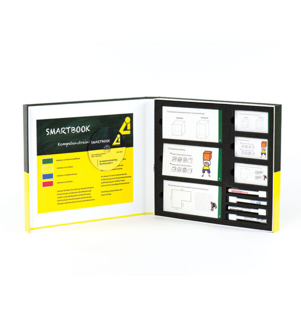 Kompetenztraining Mathematik IV